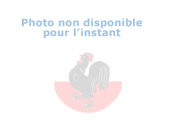 AP Construction- Entreprise generale
